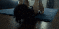 Harry Melling Pillion GIF by A24