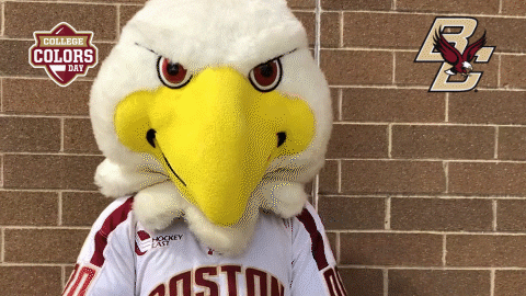 College Sports Lol GIF by College Colors Day