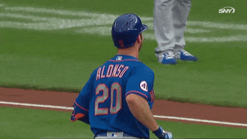 Celebrate Polar Bear GIF by SNY