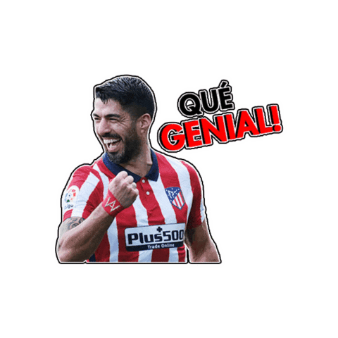 Car Wash Futbol Sticker by Alvato Luxury Detailing