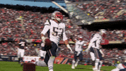 2018 Nfl Football GIF by New England Patriots