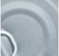 Food Ayuda GIF by Banco de Alimentos