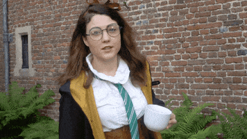 momo_obrien nope harry potter witch right GIF