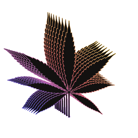 Cannabis Leaf Sticker by BARBARYCOAST