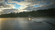 boat driving GIF by Laurentian University