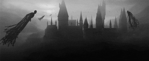 Harry Potter Transparent GIFs  Tenor