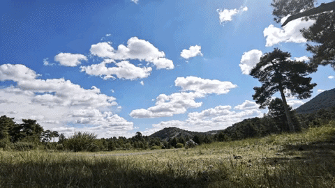 silviaillescas giphyupload video timelapse movil GIF