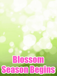 Cherry Blossom Easter GIF by TeaCosyFolk