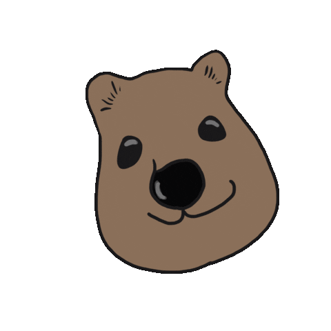 nizheng giphyupload quokka 矮袋鼠鼠 kuokkani Sticker