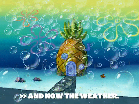 season 6 episode 25 GIF by SpongeBob SquarePants