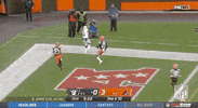 National Football League GIF by NFL