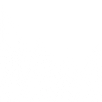 Tree Brush Sticker by Bürstenfabrik Faller