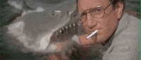 Horror Shark GIF by GFFF - Galician Freaky Film Festival
