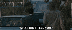 What Did I Tell You GIF