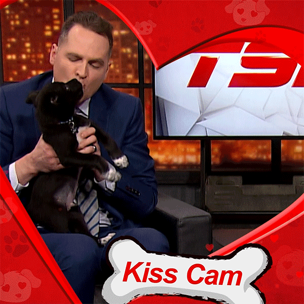 Valentines Day Tsn GIF by Discovery Canada