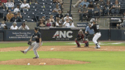 Yankees GIF by Jomboy Media