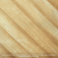 wendy gifs GIF by Wendy's 