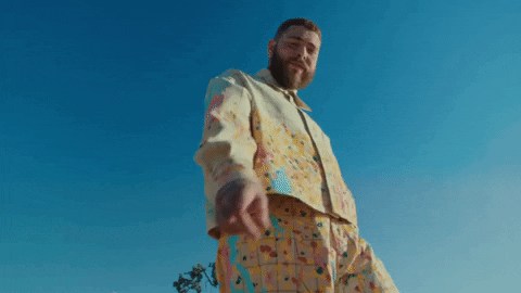 I Like You A Happier Song GIF by Post Malone