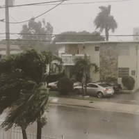 Winds, Rain Seen Brewing Up in Miami as Outer Bands of Irma Appear