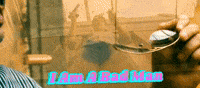 I Am A Bad Man GIF