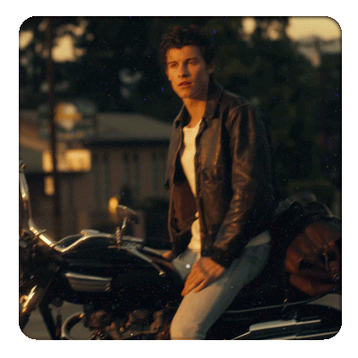 shawnmendes giphyupload island camila cabello shawn mendes GIF