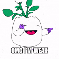 Cracking Up Lol GIF by Magic Eden