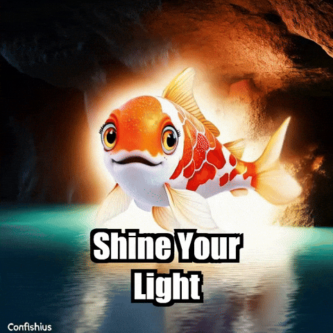 Shine Your Light Wisdom GIF by TheConfishius