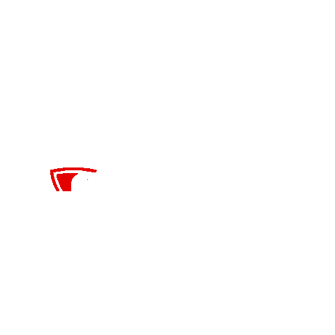 Car Tuning Sticker by BZ Performance GbR