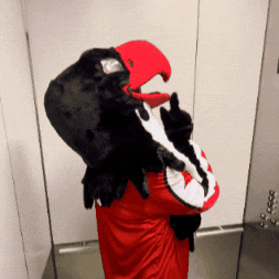 GIF by Cal State East Bay