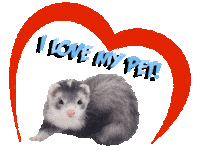 Guinea Pig Love Sticker