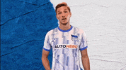 Niklas Stark Bundesliga GIF by Hertha BSC