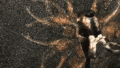 video art artist GIF by Caitlin Craggs