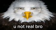 No Way Seriously GIF