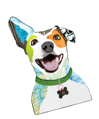 dogtopiacanada giphyupload bone dog mom tennis ball Sticker