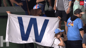 Chicago Cubs Baseball GIF