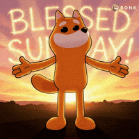 Happy Sun Rising GIF by BONK