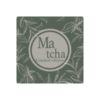 Color Lashes Sticker by PERFECT LASH JAPAN