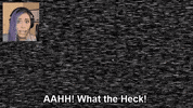 GIF by Giffffr