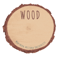 Northern Arizona University Love Sticker by NAU Social