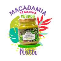 Nuez Frutos Secos Sticker by nutti.co