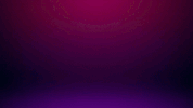 love it yes GIF