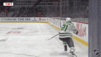Happy Dallas Stars GIF by NHL
