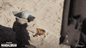 Tiny GIF by Disney+
