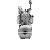 Celebrate John Roberts Sticker by John Robert's Botanic Request