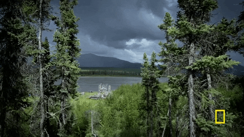 life below zero GIF by National Geographic Channel
