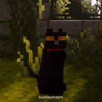 Black Cat GIF
