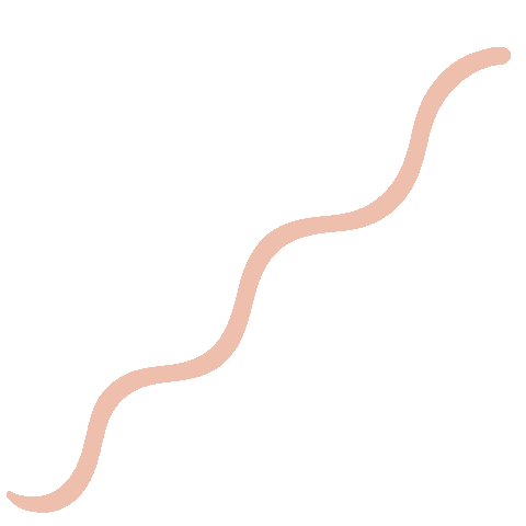 Wave Snake Sticker by BKIND