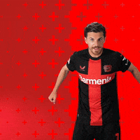 Excited Lets Go GIF by Bayer 04 Leverkusen