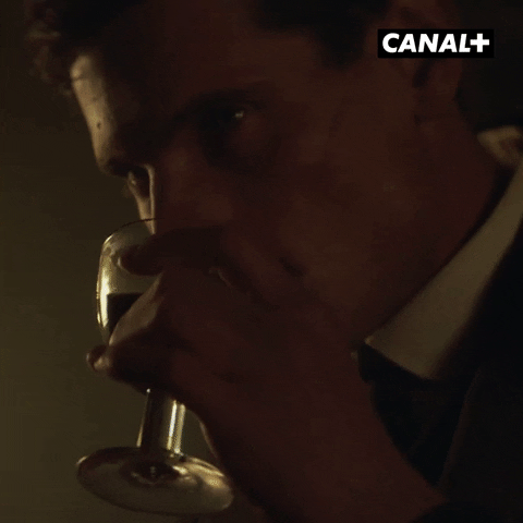 Cheers Serie GIF by CANAL+