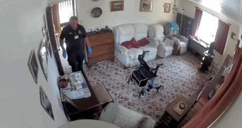 yj_jane giphyupload GIF